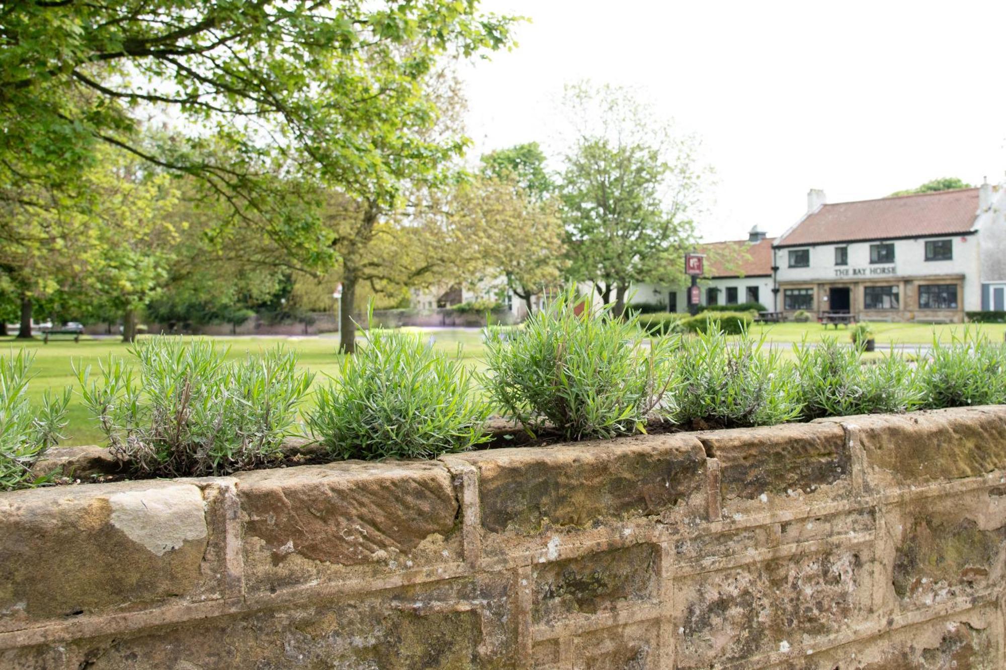 Work And Relax - Fast Wifi, Fireplace & Near Pub Newton Aycliffe Exterior photo