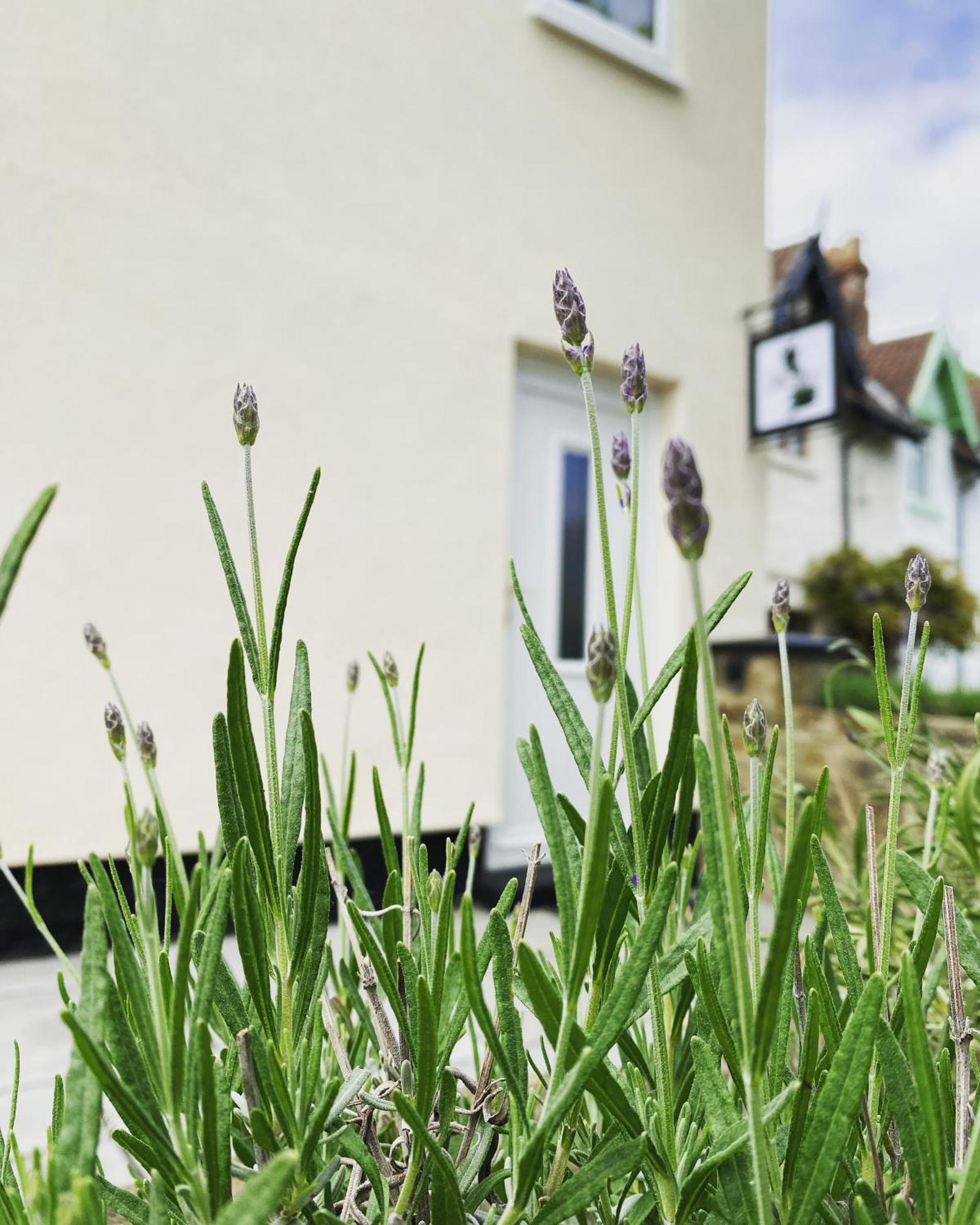 Work And Relax - Fast Wifi, Fireplace & Near Pub Newton Aycliffe Exterior photo